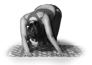 Иллюстрация к книге — Грыжа позвоночника. Безоперационное лечение и профилактика [_083_2.jpg]