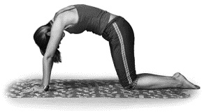 Иллюстрация к книге — Грыжа позвоночника. Безоперационное лечение и профилактика [_090_3.jpg]