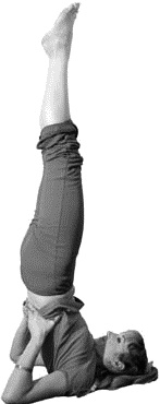 Иллюстрация к книге — Грыжа позвоночника. Безоперационное лечение и профилактика [_128_2.jpg]