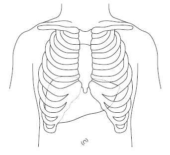 Иллюстрация к книге — Болезни печени и желчного пузыря: лечение и очищение [Autogen_eBook_id0.jpg]