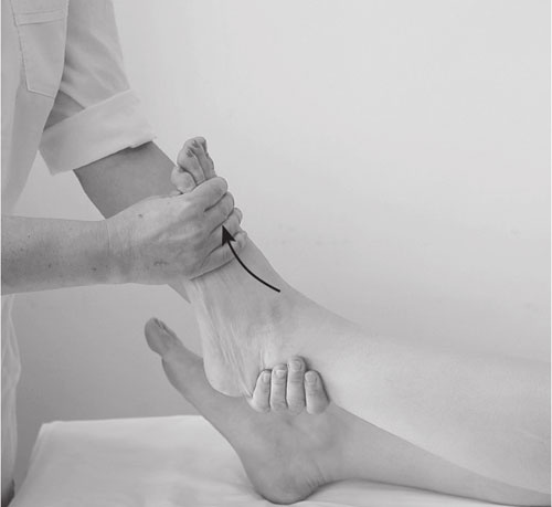 Иллюстрация к книге — Атлас. Практический массаж [i_007.jpg]