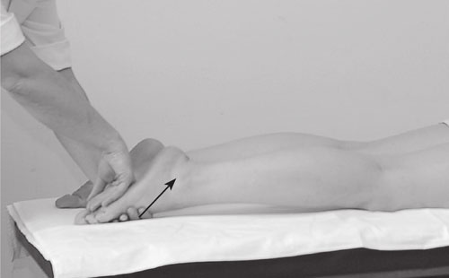 Иллюстрация к книге — Атлас. Практический массаж [i_010.jpg]