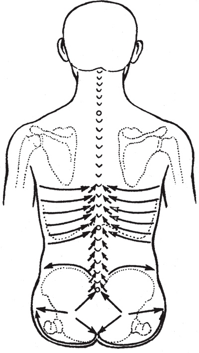 Иллюстрация к книге — Атлас. Практический массаж [i_063.jpg]