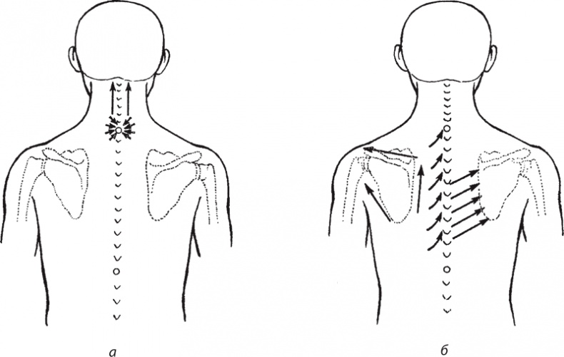Иллюстрация к книге — Атлас. Практический массаж [i_065.jpg]