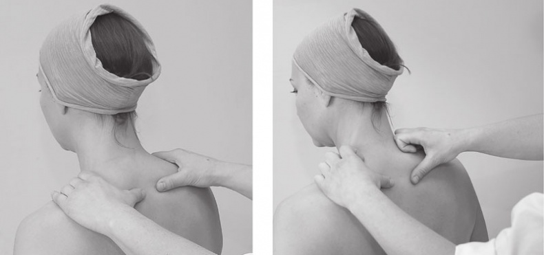 Иллюстрация к книге — Атлас. Практический массаж [i_068.jpg]