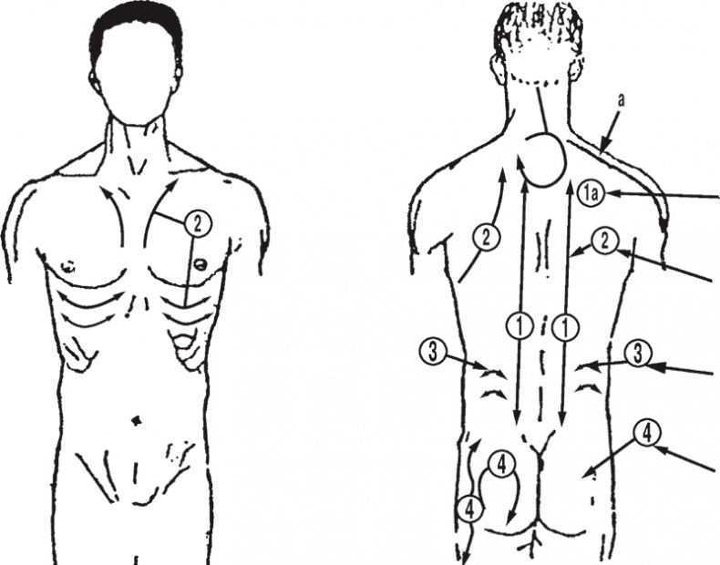 Иллюстрация к книге — Атлас. Практический массаж [i_106.jpg]
