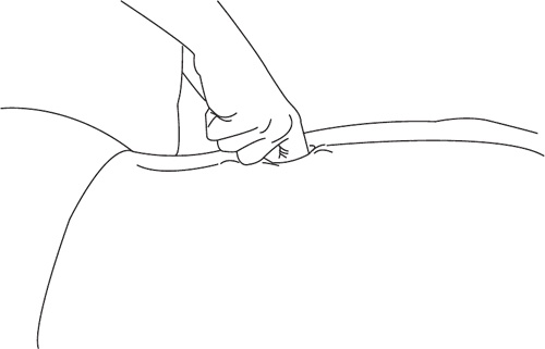 Иллюстрация к книге — Атлас. Практический массаж [i_115.jpg]