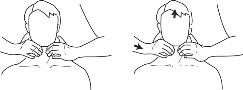 Иллюстрация к книге — Атлас. Практический массаж [i_116.jpg]