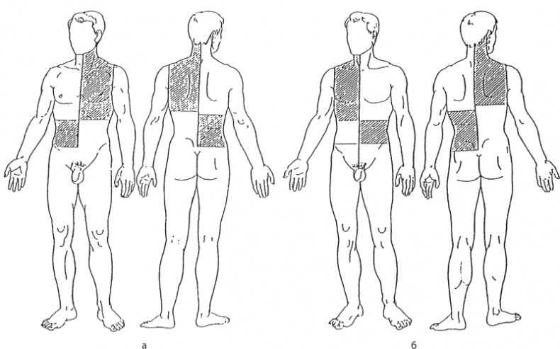 Иллюстрация к книге — Атлас. Практический массаж [i_134.jpg]