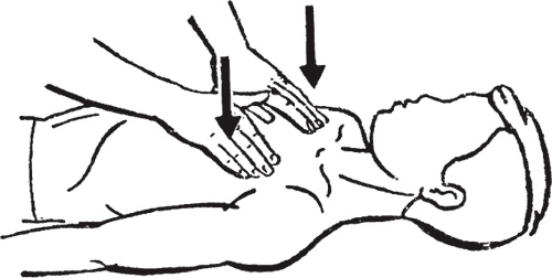 Иллюстрация к книге — Атлас. Практический массаж [i_137.jpg]