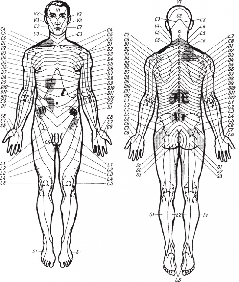 Иллюстрация к книге — Атлас. Практический массаж [i_141.jpg]