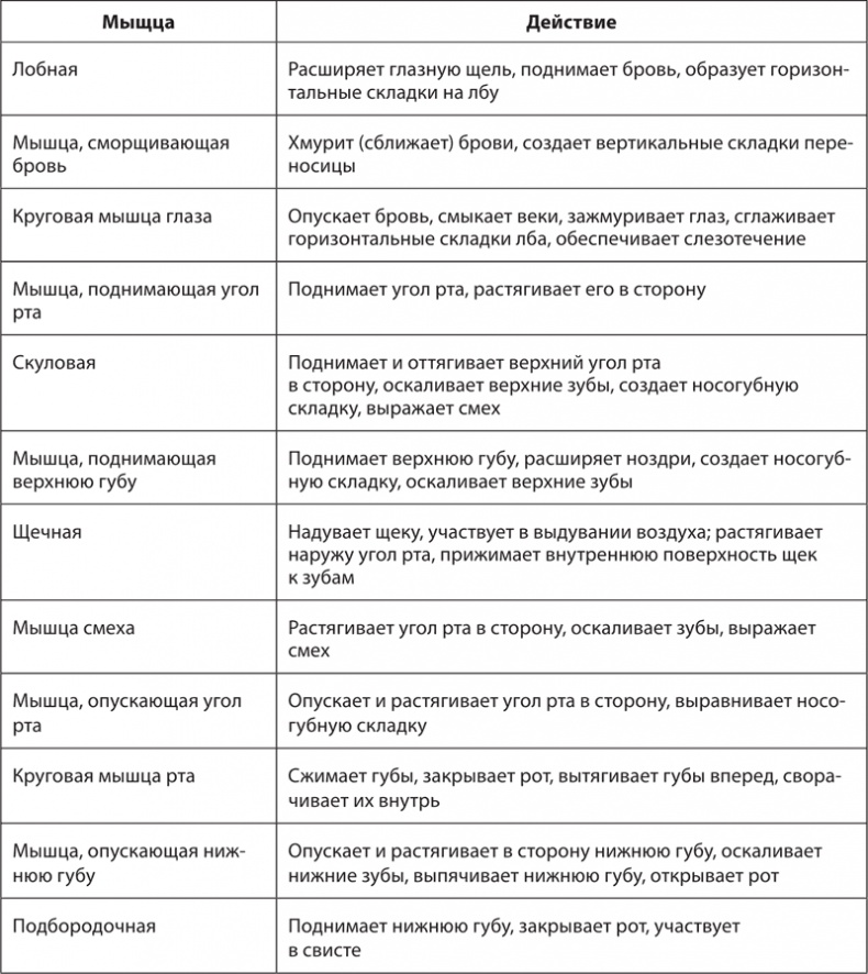 Иллюстрация к книге — Атлас. Практический массаж [i_143.jpg]