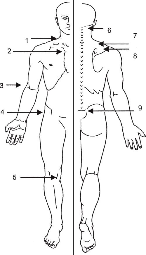 Иллюстрация к книге — Атлас. Практический массаж [i_150.jpg]