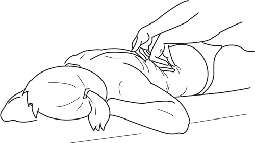 Иллюстрация к книге — Атлас. Практический массаж [i_157.jpg]