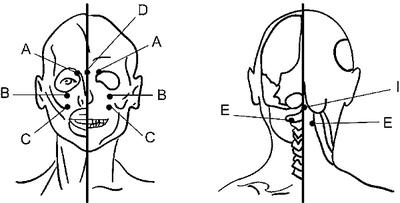Иллюстрация к книге — Болезни глаз: глаукома и катаракта. Карманный справочник [i_006.jpg]