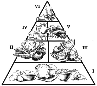 Иллюстрация к книге — Что можно и нужно есть тем, кому за... Доктор на вашей кухне [Autogen_eBook_id170.jpg]