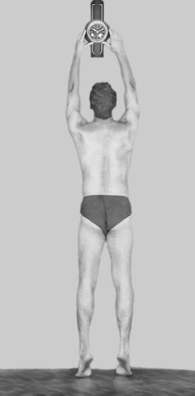 Иллюстрация к книге — Ария для спины. Авторская программа против боли в суставах [i_022.jpg]