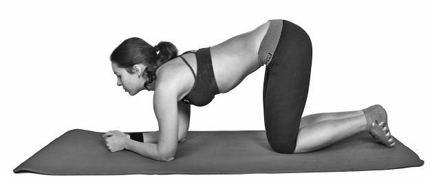 Иллюстрация к книге — Ария для спины. Авторская программа против боли в суставах [i_056.jpg]