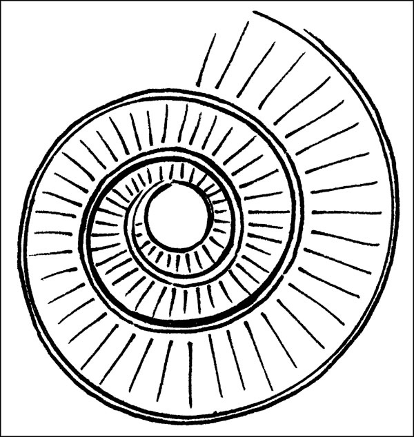 Иллюстрация к книге — Биоритмы для здоровья. Как улучшить свое состояние по биологическим часам [_023.jpg]