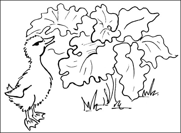 Иллюстрация к книге — Биоритмы для здоровья. Как улучшить свое состояние по биологическим часам [_037.jpg]