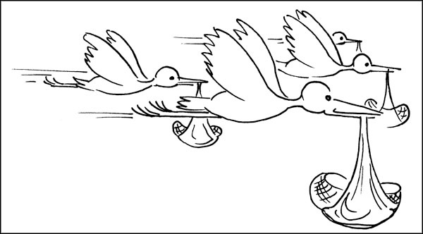 Иллюстрация к книге — Биоритмы для здоровья. Как улучшить свое состояние по биологическим часам [_158.jpg]