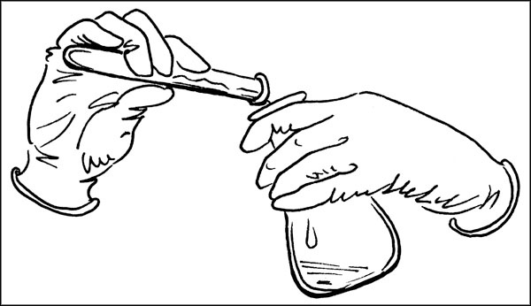 Иллюстрация к книге — Биоритмы для здоровья. Как улучшить свое состояние по биологическим часам [_179.jpg]