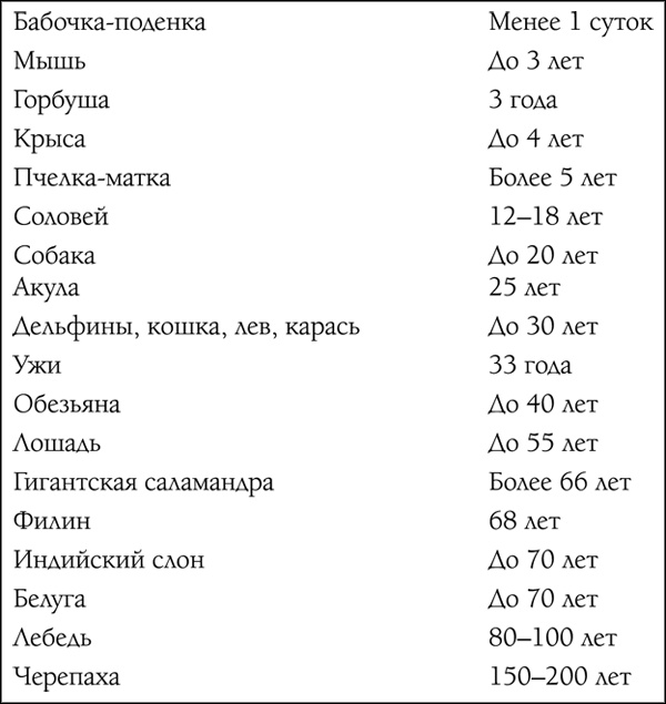Иллюстрация к книге — Биоритмы для здоровья. Как улучшить свое состояние по биологическим часам [tab2.png_0.jpg]