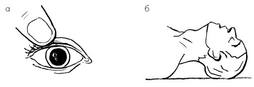 Иллюстрация к книге — Пока едет "Скорая". Рассказы, которые могут спасти вашу жизнь [i_006.jpg]