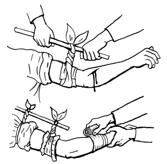 Иллюстрация к книге — Пока едет "Скорая". Рассказы, которые могут спасти вашу жизнь [i_021.jpg]