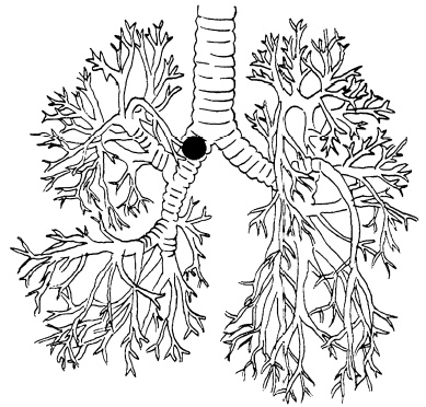 Иллюстрация к книге — Пока едет "Скорая". Рассказы, которые могут спасти вашу жизнь [i_035.jpg]