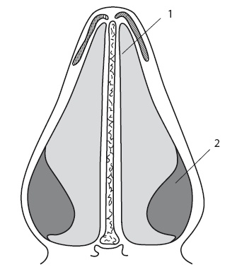 Иллюстрация к книге — Насморк. Как вылечить быстро и эффективно [i_003.jpg]