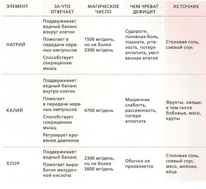 Иллюстрация к книге — Книга о теле [image22.jpg]