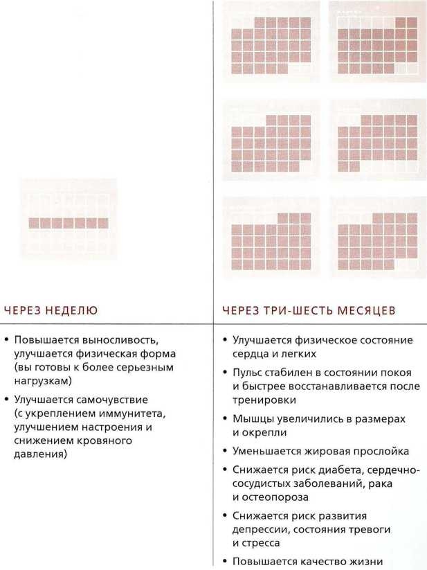 Иллюстрация к книге — Книга о теле [image30.jpg]