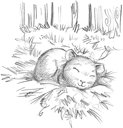 Иллюстрация к книге — Морская свинка Рози, или Тайна ветра [i_004.jpg]