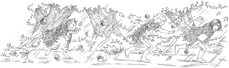 Иллюстрация к книге — Морская свинка Рози, или Тайна ветра [i_012.jpg]