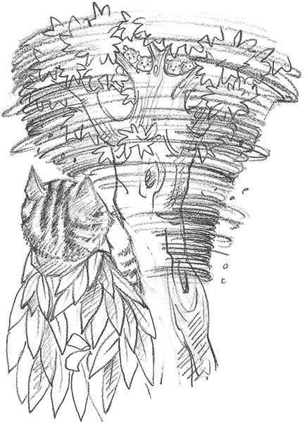 Иллюстрация к книге — Морская свинка Рози, или Тайна ветра [i_017.jpg]