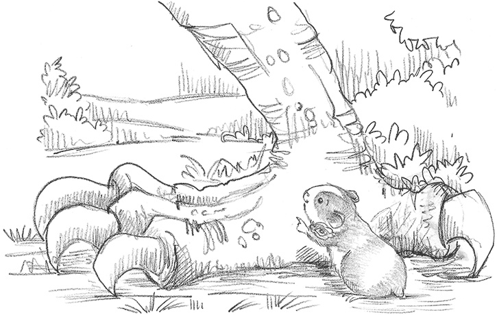 Иллюстрация к книге — Морская свинка Рози, или Тайна ветра [i_033.jpg]