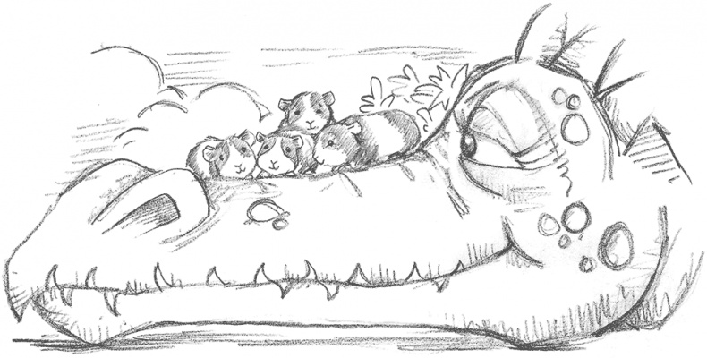 Иллюстрация к книге — Морская свинка Рози, или Тайна ветра [i_034.jpg]