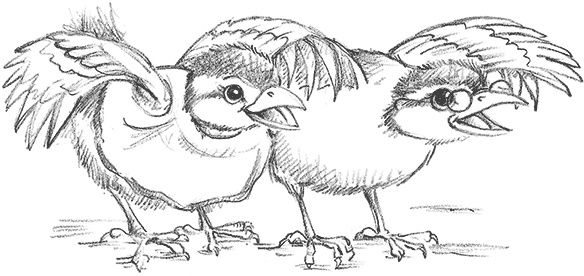 Иллюстрация к книге — Щенок Поппи, или Сонные чары [i_019.jpg]