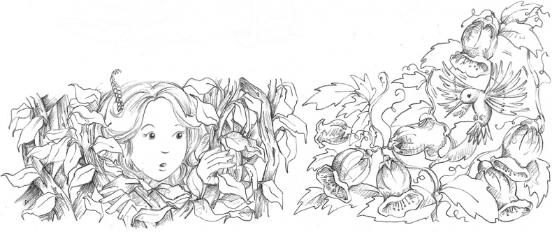 Иллюстрация к книге — Щенок Поппи, или Сонные чары [i_021.jpg]