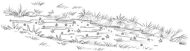 Иллюстрация к книге — Щенок Поппи, или Сонные чары [i_023.jpg]