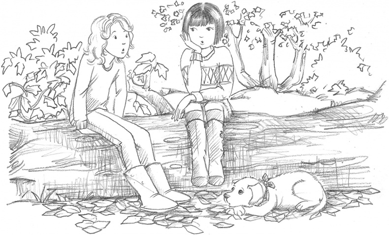 Иллюстрация к книге — Щенок Поппи, или Сонные чары [i_024.jpg]