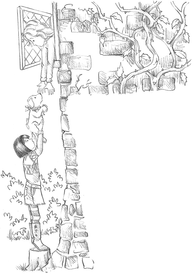 Иллюстрация к книге — Щенок Поппи, или Сонные чары [i_042.jpg]