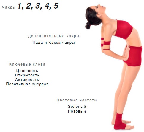 Иллюстрация к книге — Энергетика йоги. Практический курс [i_004.jpg]