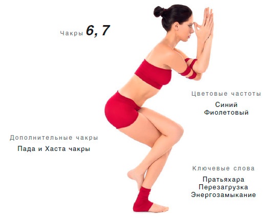 Иллюстрация к книге — Энергетика йоги. Практический курс [i_006.jpg]