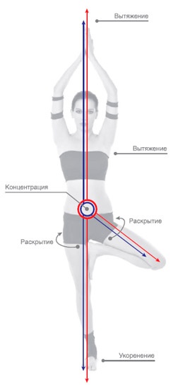 Иллюстрация к книге — Энергетика йоги. Практический курс [i_009.jpg]