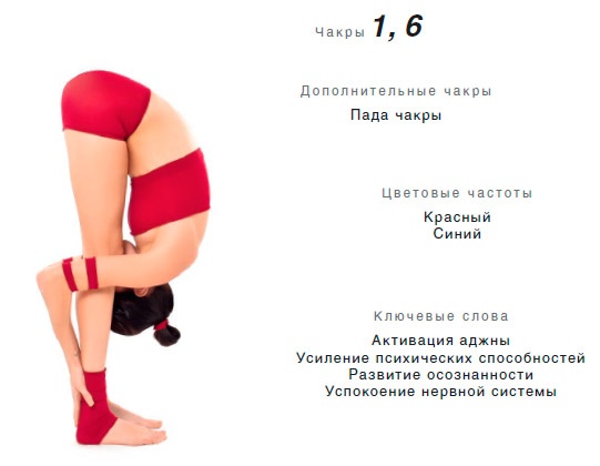 Иллюстрация к книге — Энергетика йоги. Практический курс [i_010.jpg]