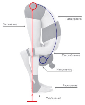 Иллюстрация к книге — Энергетика йоги. Практический курс [i_011.jpg]