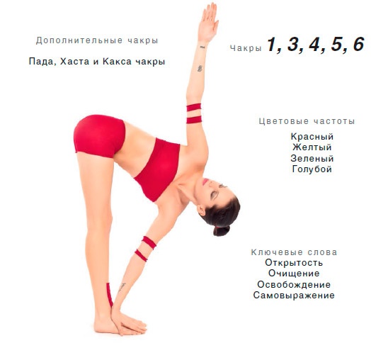 Иллюстрация к книге — Энергетика йоги. Практический курс [i_012.jpg]