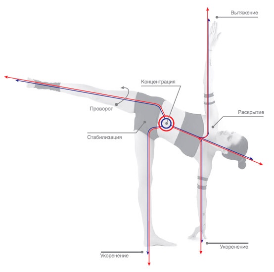 Иллюстрация к книге — Энергетика йоги. Практический курс [i_017.jpg]